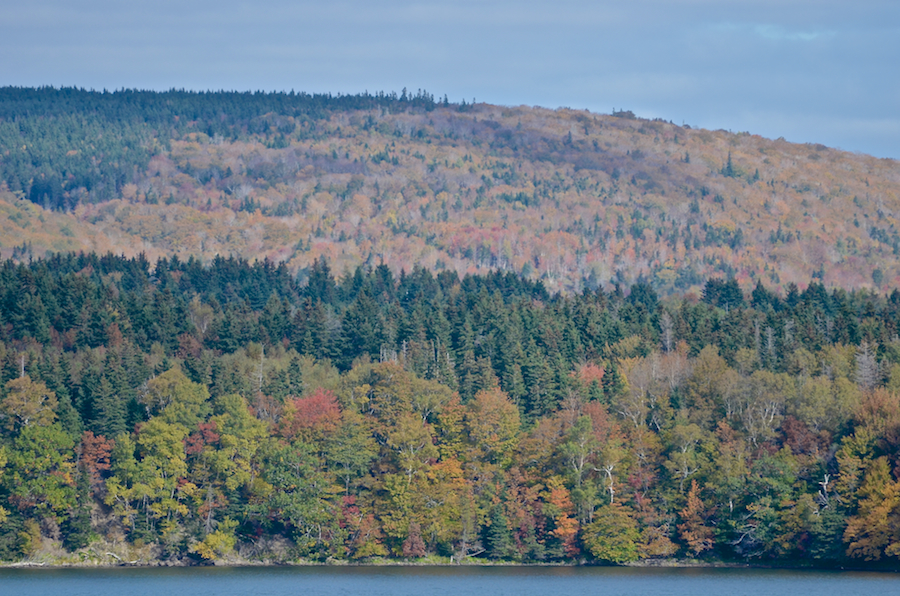 Looking across the strait between Mason Point and Ainslie Point
