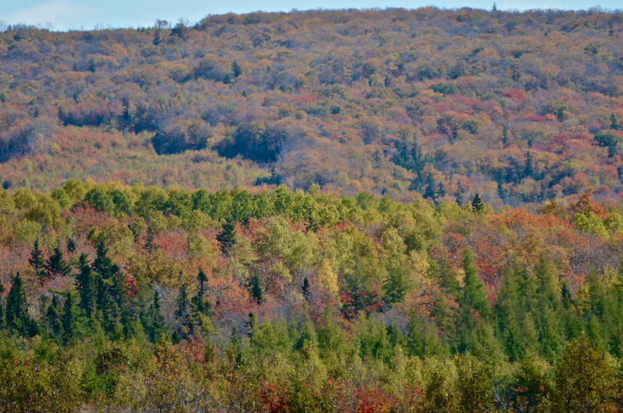 Hillside to the southeast