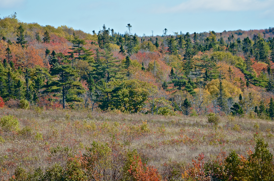 Hillside to the southeast