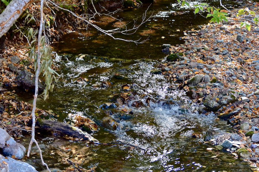 Kewstoke Brook just south of the bridge