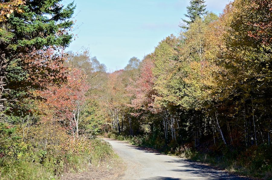 The Whycocomagh Port Hood Road just north of the Kewstoke Brook Bridge