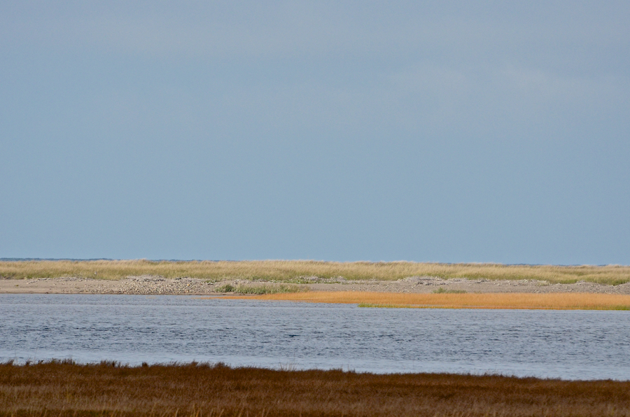 Close-up of Indian Point Beach