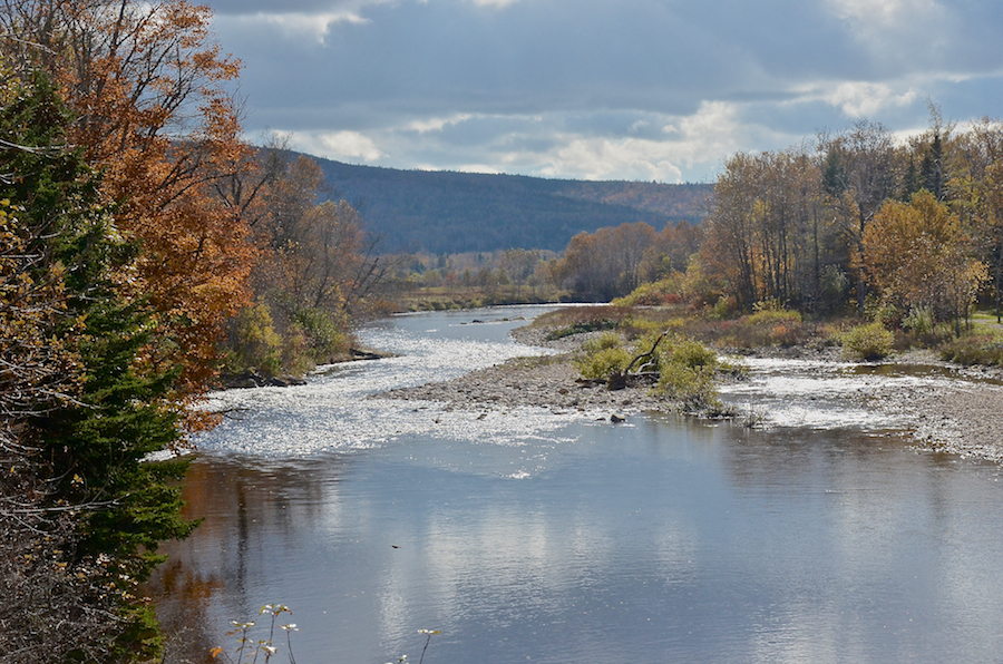 Looking downstream from the Church Crossing Road bridge