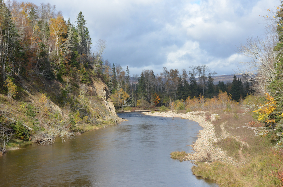Looking upstream from the footbridge over the Middle River