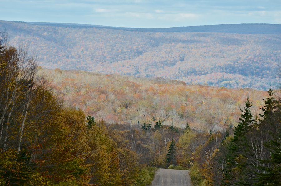 View from Highland Road