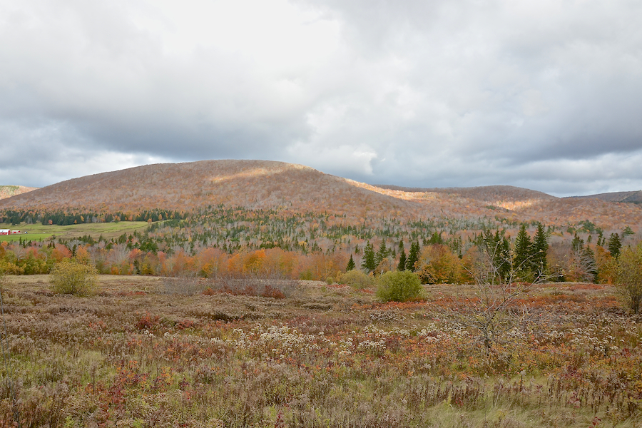Cape Mabou Highlands from the Northeast Mabou Road