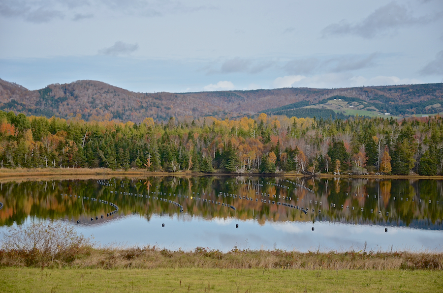 West Mabou Panorama: Part 4