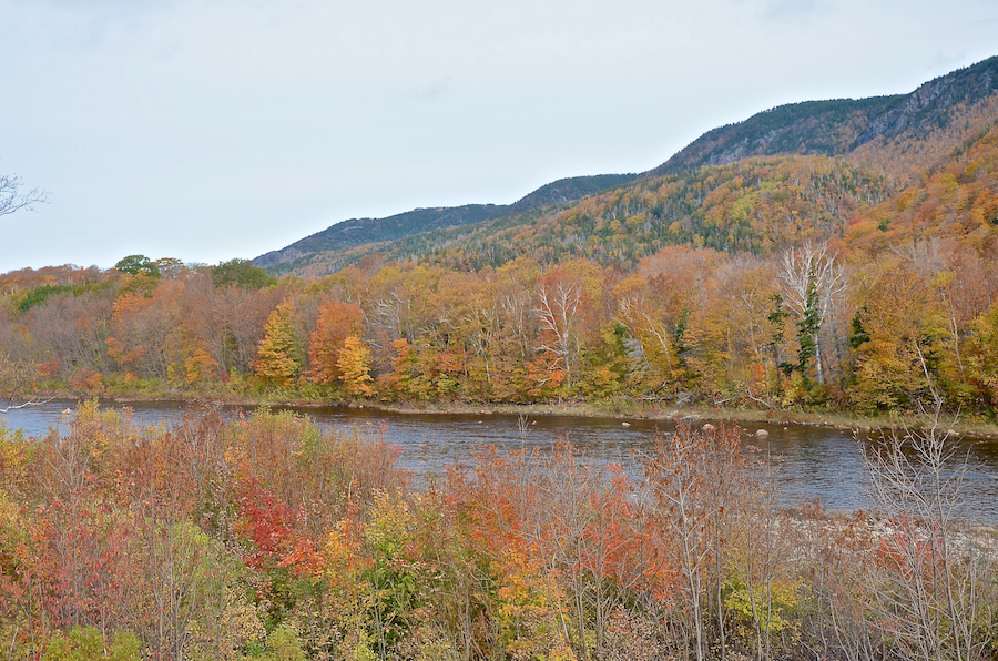 The Chéticamp River below the Cape Breton Highlands
