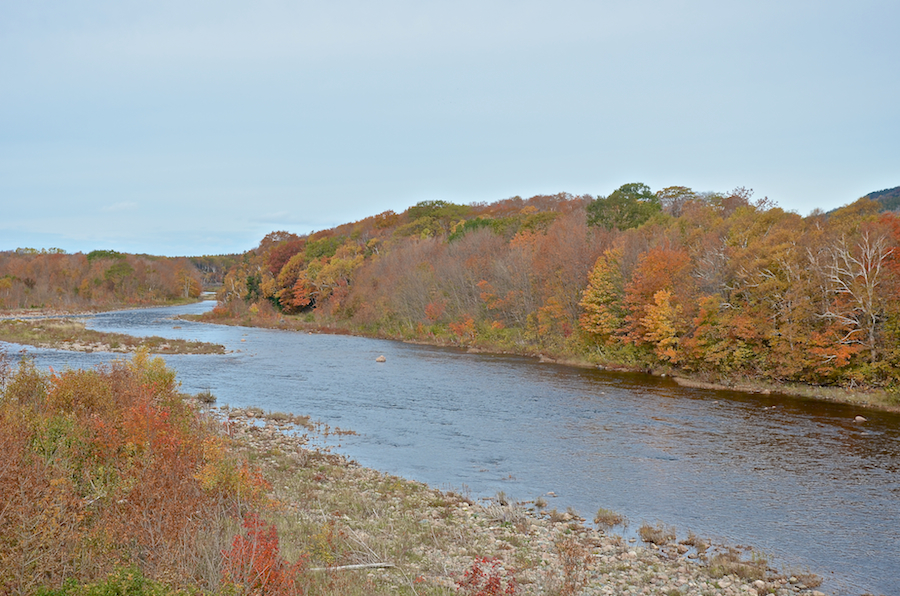 The Chéticamp River