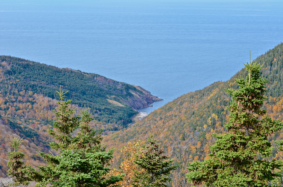 Fishing Cove from the northern Fishing Cove Look-Off