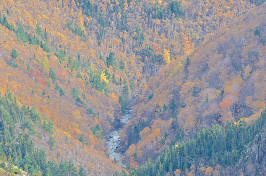 Looking down into the MacKenzies River Valley<br>
               from the uppermost look-off on MacKenzies Mountain
