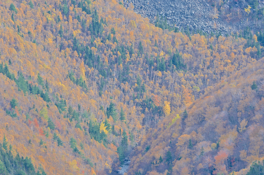 Looking down into the MacKenzies River Valley<br>
               from the uppermost look-off on MacKenzies Mountain