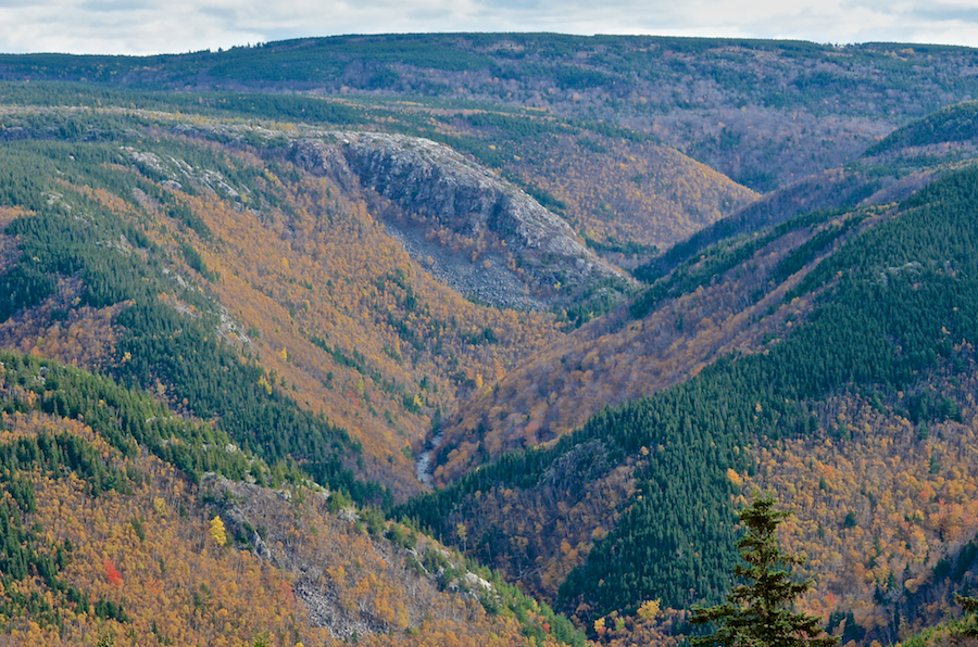 The MacKenzies River Valley from the uppermost look-off on MacKenzies Mountain