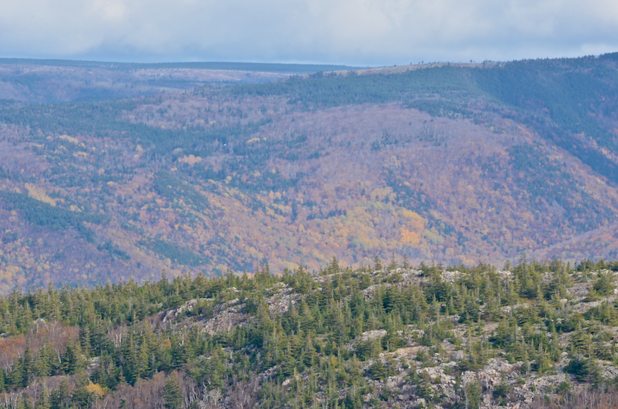 Looking east from the uppermost MacKenzies Mountain look-off