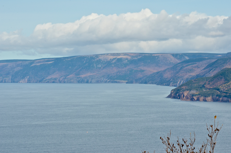 The coast from Fort Cove to Kerrs Point