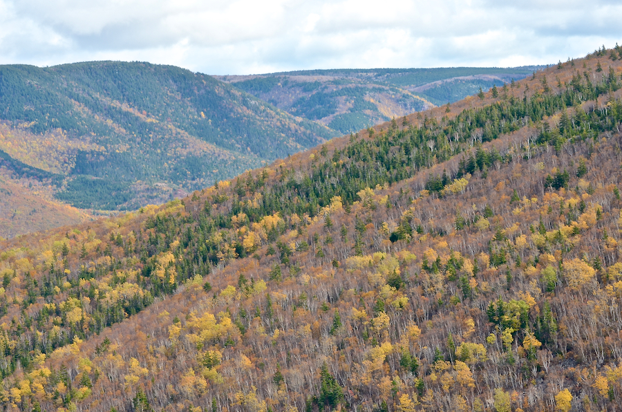Looking inland from the second look-off on MacKenzies Mountain