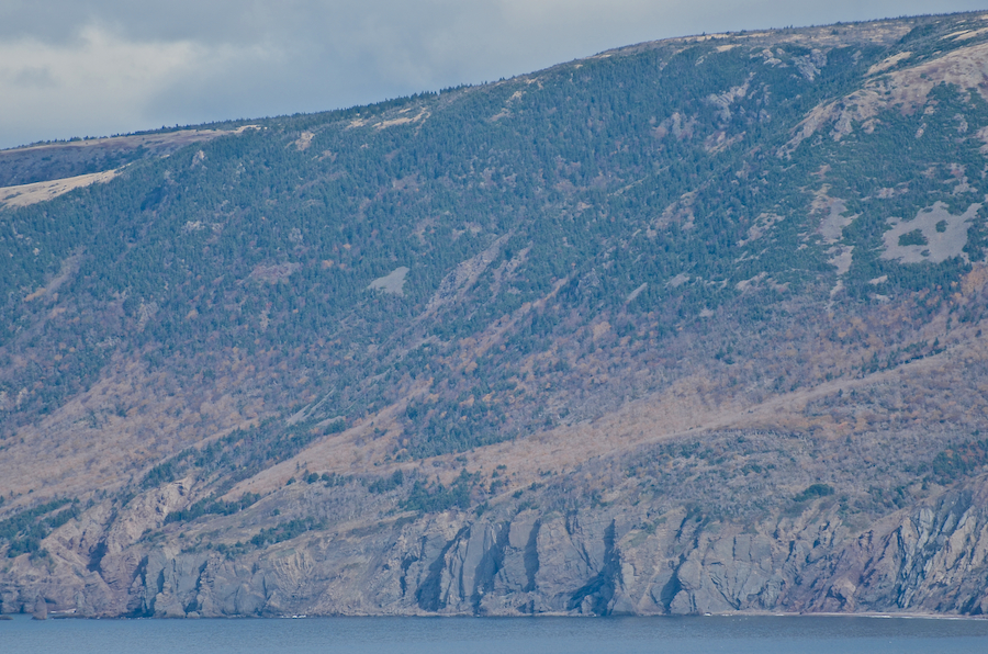The coast below “Wreck Brook Mountain”