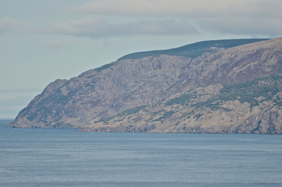The coast on either side of Delaneys Point
