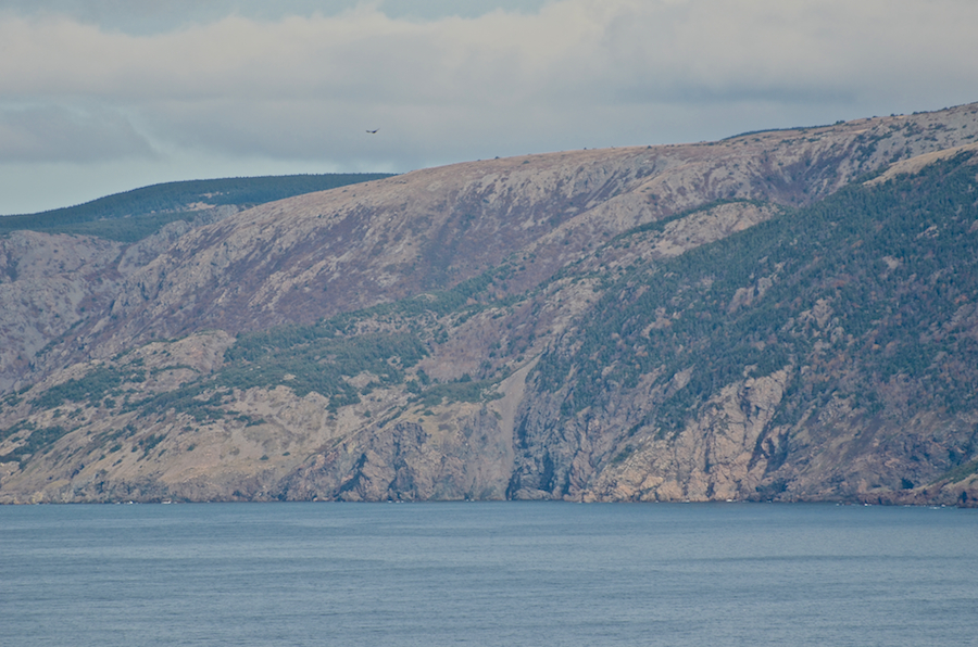 The coast below “Delaneys Mountain”