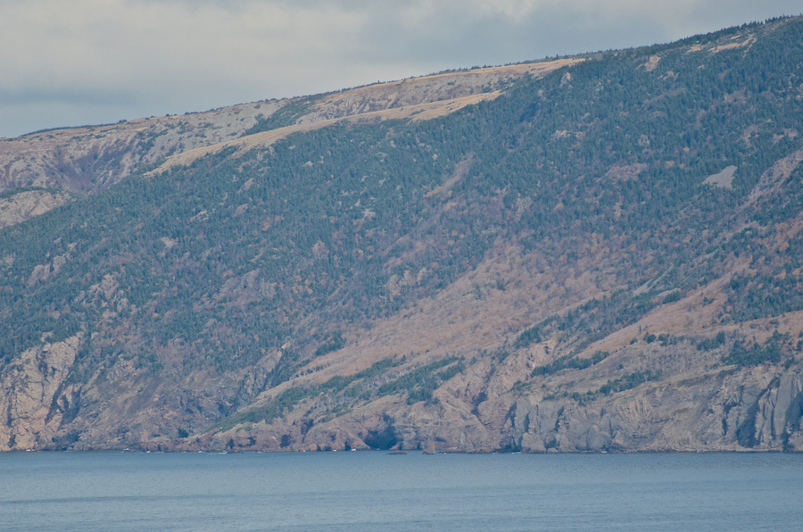 The coast below “Malcolms Brook Mountain”