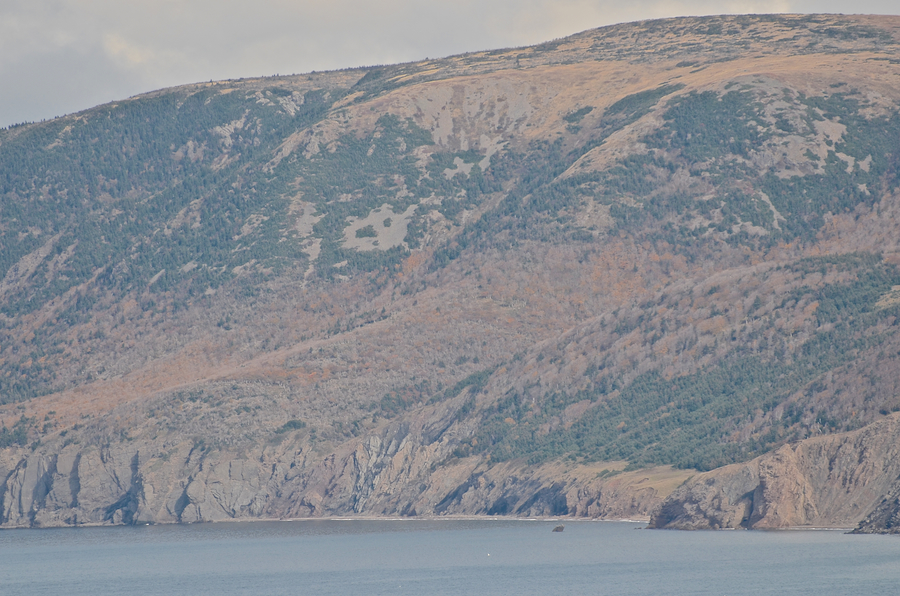 “Wreck Brook Mountain” and Polletts Cove