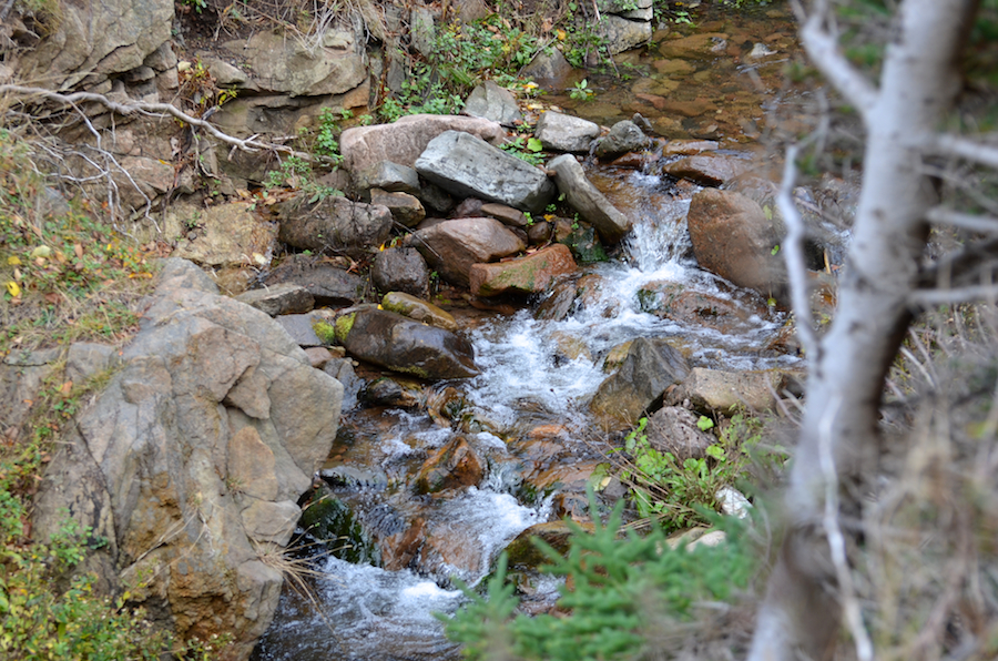 Archies Brook looking upstream from near the bridge