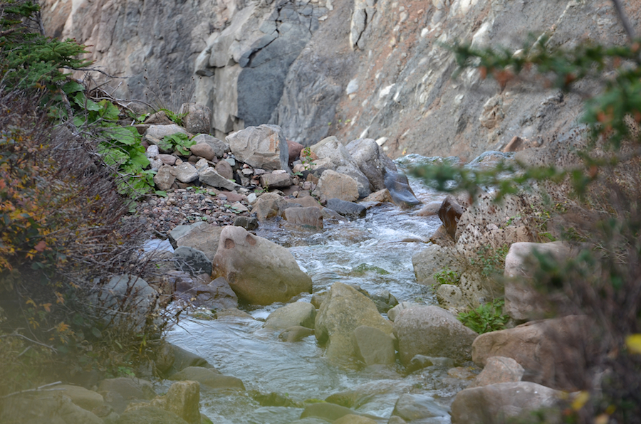 Archies Brook from the bridge over it at the start of the Polletts Cove Trail