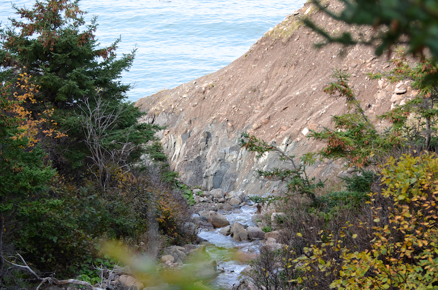 Archies Brook from the bridge over it at the start of the Polletts Cove Trail