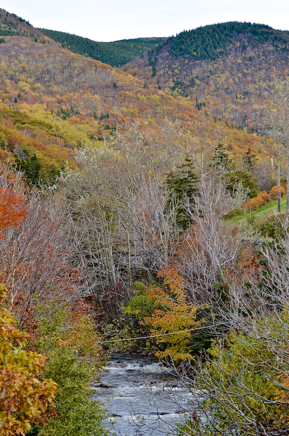Looking upstream at the Red River Bridge