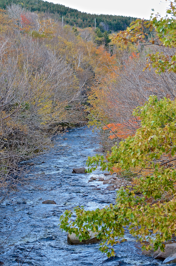 Looking downstream at the Red River Bridge