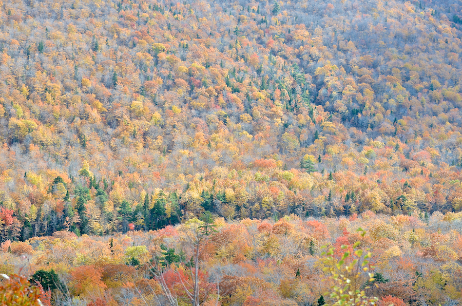 The North Aspy River valley directly below the second look-off