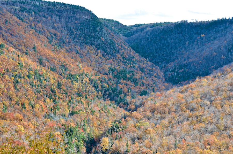 The valley of the Little Southwest Brook
