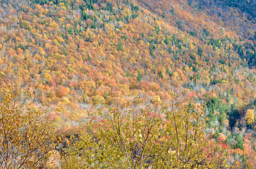 Left of the valley of the Little Southwest Brook