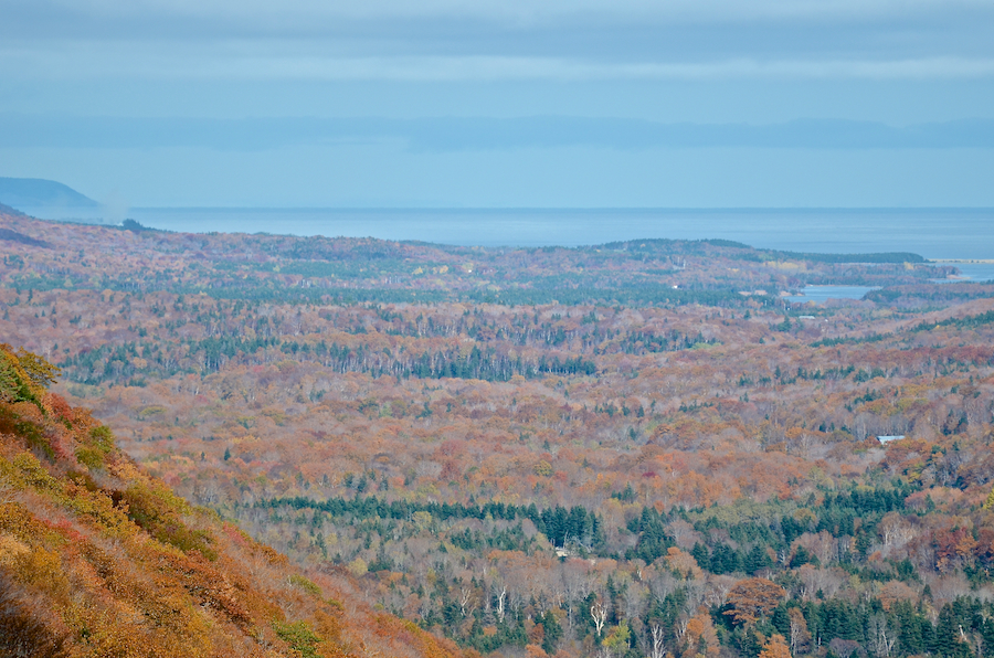 The lower North Aspy River Valley from North Mountain