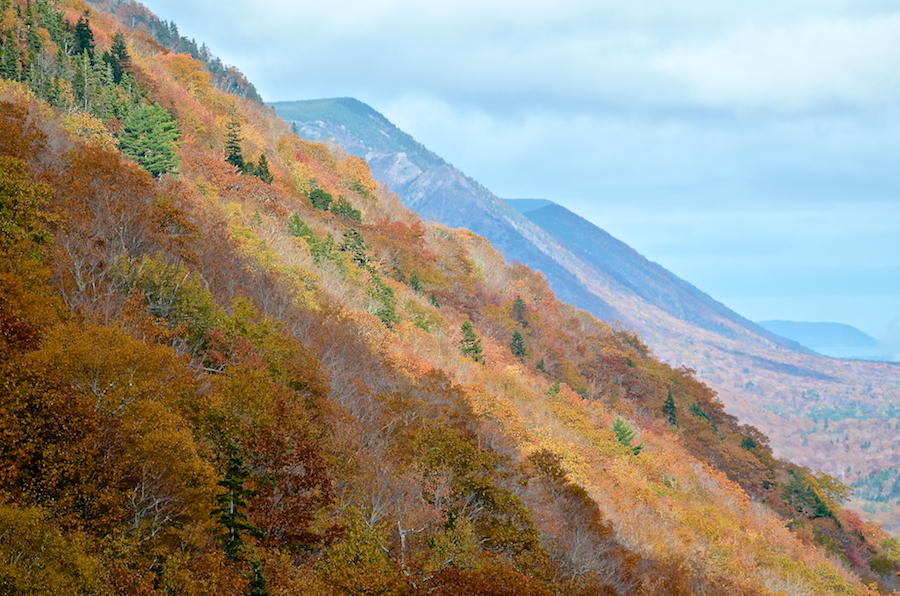 The side of North Mountain out to the Cape North Massif