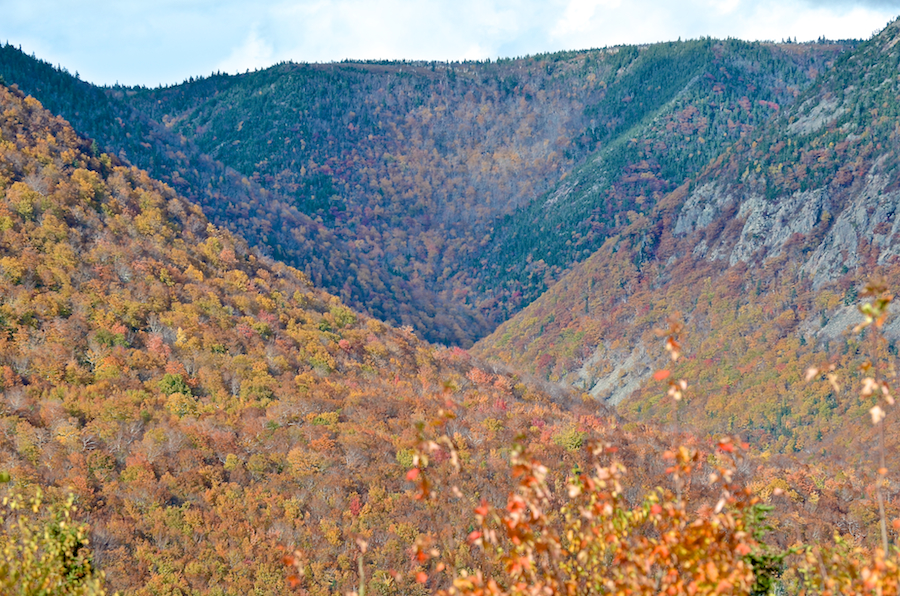 Grays Hollow