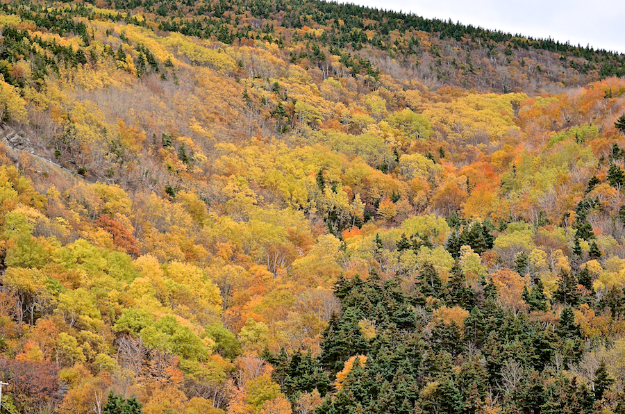 The valley of Edwards Brook