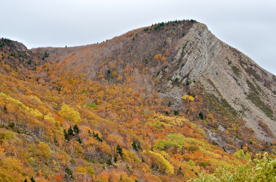 The valley of the unnamed brook at the side of Meat Cove Mountain