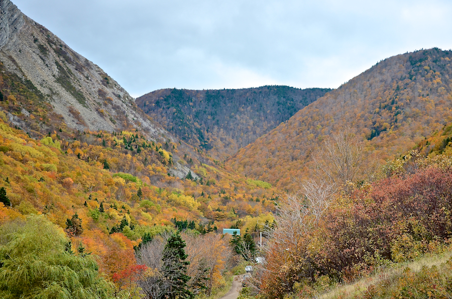 The valley of the Meat Cove Brook