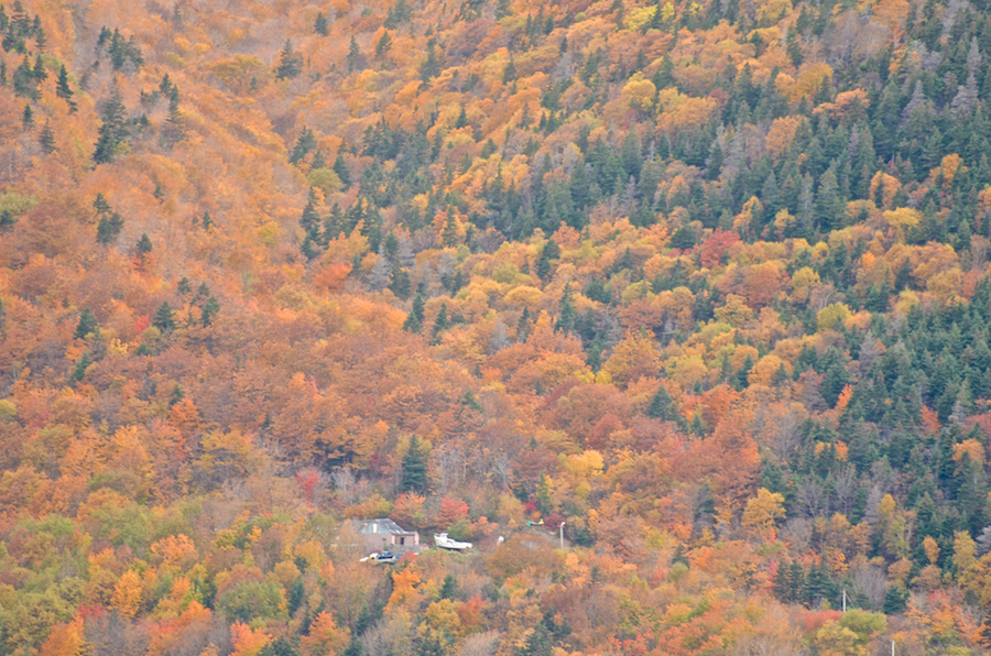 Colours along the Lowland Cove Trail