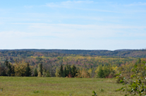The Creignish Hills at Hillsdale