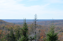 Part 1 of the Panorama