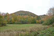 Field near the end of the MacLennan Road
