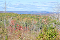 Cape Mabou from the Whycocomagh Port Hood Road
