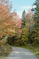 The General Line Road in Centennial