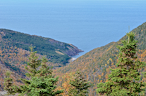 Fishing Cove from the northern Fishing Cove Look-Off