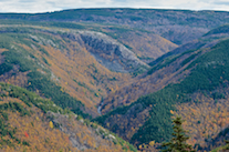 The MacKenzies River Valley from the uppermost look-off on MacKenzies Mountain