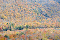 The North Aspy River valley directly below the second look-off