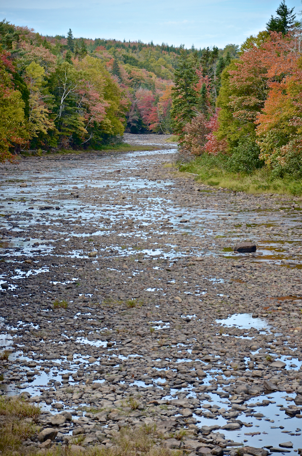 Looking at the colours along a rocky Southwest Mabou River bed