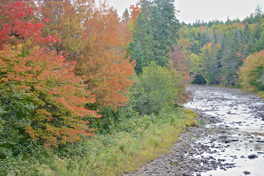 Looking upstream from Long Johns Bridge